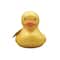 Assorted 6" Metallic Rubber Duck, 1pc. by Fab Finds